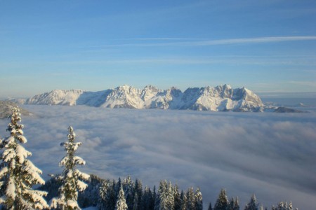 Winter Bild 7